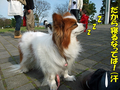 ¥µ¥¶¥Ó¡¼¡¢Î×¹Á¥Ñ¡¼¥¯¤Ë¹Ô¤¯¡ª¤Î´¬¤21