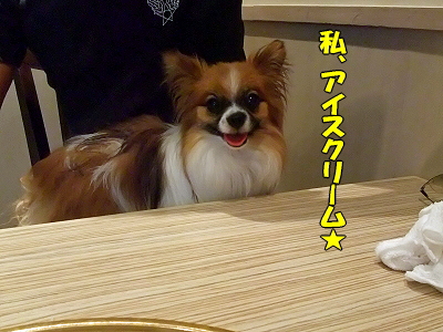 ¤ªÂæ¾ì¥é¥ó¥Ç¥Ö¡Á¡ú¥