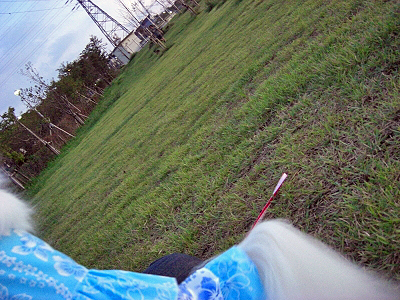 Ã夳¤Ê¤·»£±Æ²ñ±