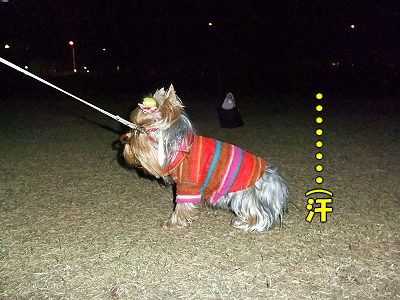 ËÌÉ÷¶¯É÷¡¦¡¦¡¦¡¦¥