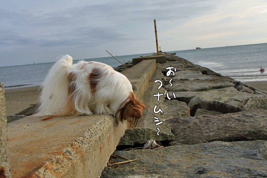 ¡Ú¥µ¥¶¥«¥ì2013¡Û¡¡04