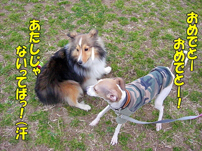 郎°ìÈÖ¡¦¡¦¡¦¡¦¤