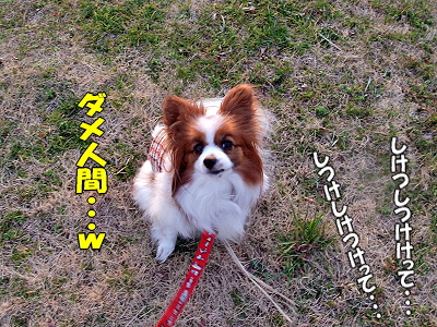 ¥À¥á¸¤¤·¤Ä¤±Áª¼ê¸¢¡ú¬