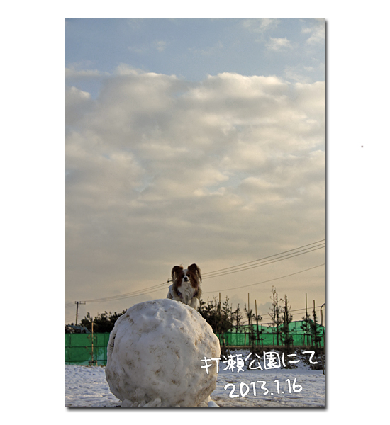 ¥µ¥¶¤À¤ë¤Þ¡¡20
