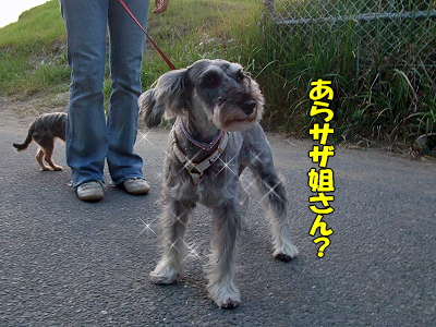 ¥é¥Ó¥¿¥¤¥à¢ö¡Ê¸åÊԡˤ
