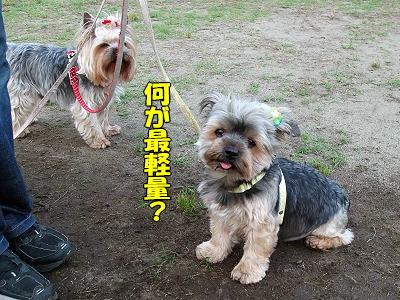 °ì¸«¤¹¤ë¤È¡¦¡¦¡¦¤