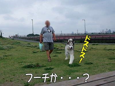 ¤ª¤«¤¨¤ê¥Õ¡¼¥Á¡ú¤
