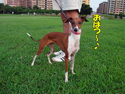 ¤½¤Î¥µ¥¶¡¦ÈÖ³°ÊÔ¤