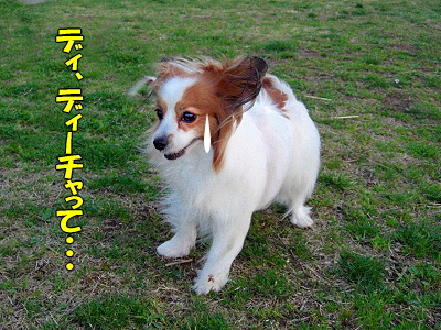 ºùºé¤¯¡¦¡¦¡¦¡¦¥