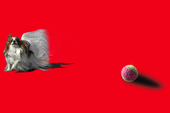 ¤º¤Ó¤Ð¤¼¤ó¡¦¡¦¡¦¡¡03