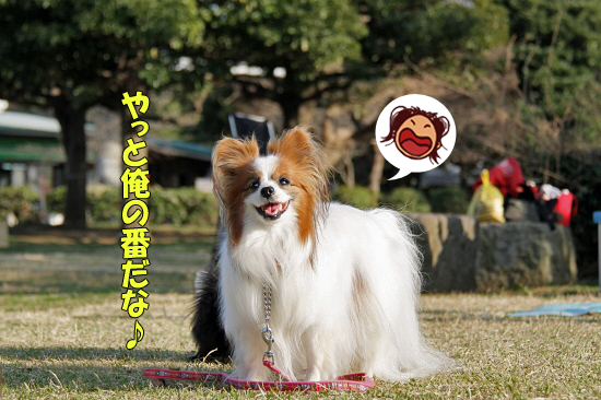 ¥Ï¥Ê¥é¥ÓBBQ¥ª¥Õ¤Ë»²²Ã¤·¤Æ¤ß¤¿¡¡¤½¤Î2¡¡13