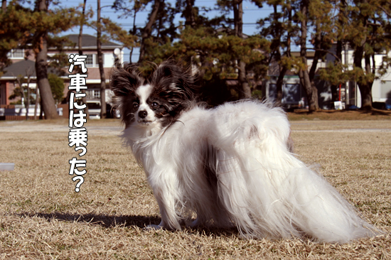 ¡Ö¥µ¥¶¥Ó¡¼µ¥¼Ö¤Ë¾è¤ë¡×¤Î´¬¡¡02