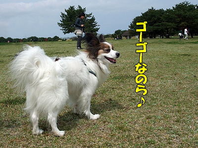 ¤ß¤Ï¤é¤·¤ÎµÖ¤