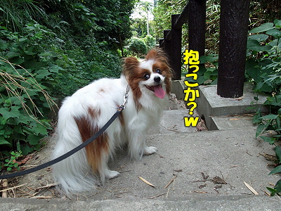 38ǯ²ñ29