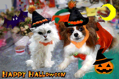 HAPPY¡úHALLOWEEN¨