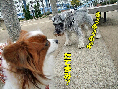 JOY¤È¶¦¤Ë¡¦¸åÊÔ¦