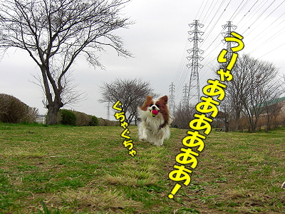 ¥¢¥¯¥·¥Ç¥ó¥È¡£¡£¦
