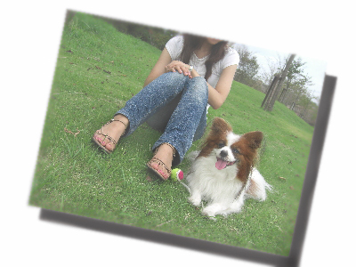 Present°