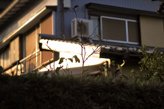 ¤½¤Î»þ¤Þ¤Ç¡¦¡¦¡¦§