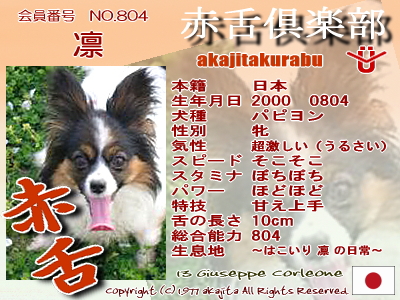 804-rin-2007