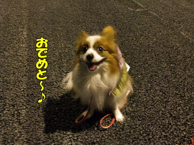 ÅßÀå2008¤ÎÀµ²ò¼Ô¤Ï¡©¥