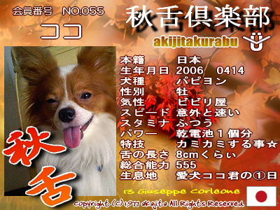 055-koko-aki