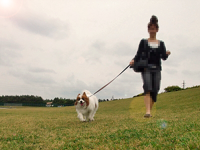 10ǯ¸å¤ËÀ¸¤Ê֤俤顦¡¦¡¦¢