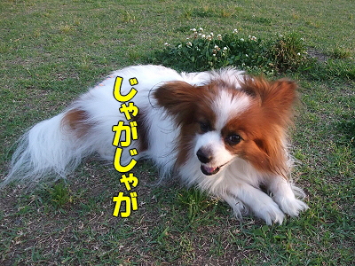 ¤µ¤µ¤ß¤¸¤ã¤¬¤¸¤ã¤¬¨