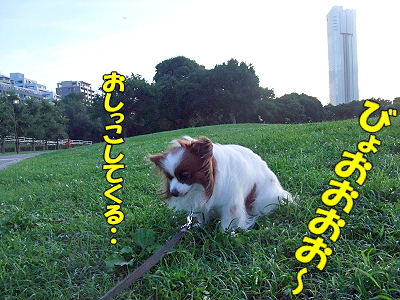 ÂÔ¤Á¹ç¤ï¤»¢ö¨