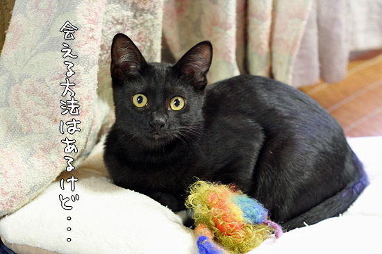 ¥¯¥·¥ã¥È¥ê¥¢È¯¸«¡¦¡¦¡¦¡ª¦