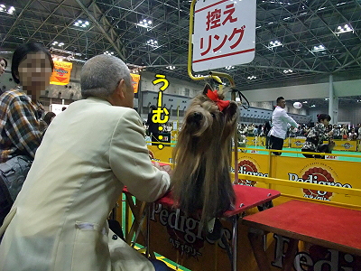 ¥¢¥¸¥¢¥¤¥ó¥¿¡¼2009¡ÊÁ°ÊÔ¡Ë21