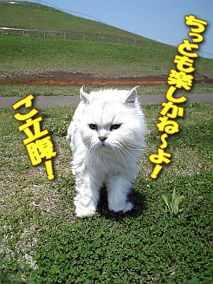 ¤´Î©Ê¢¡ª¡ª