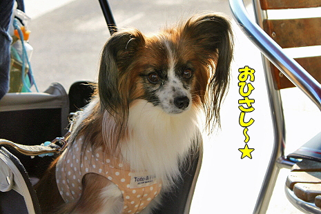 ららぽでキットカット★��