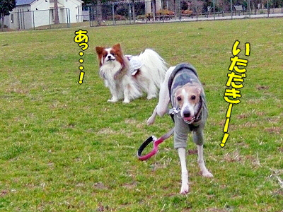 郎°ìÈÖ¡¦¡¦¡¦¡¦¨