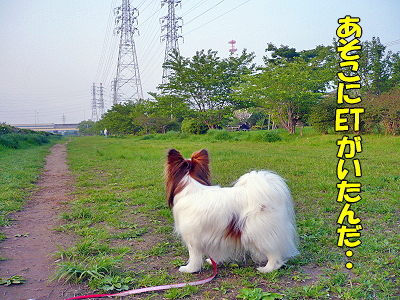 ET¥µ¥¶£÷¤