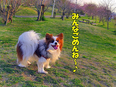 ¡ú¥µ¥¶¥Ó¡¼¤´²ûÇ¥¡ú³