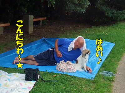 GWËëÄ¥¥ª¥Õ¡Ê³¤É͸ø±àÊԡ˨