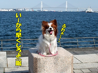 .:*:'¡¬¡ù.:*:'¡¬Sazaby's blog.:*:'¡¬¡ù.:*:'¡¬£