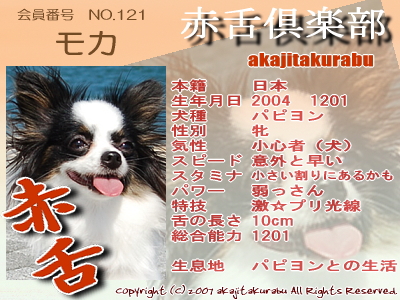 121-moka