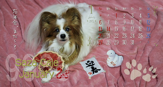 ¡Ú¥µ¥¶¥«¥ì2013¡ÛÇÛÁ÷¡Á¡ú¡ù¡ú¡¡05