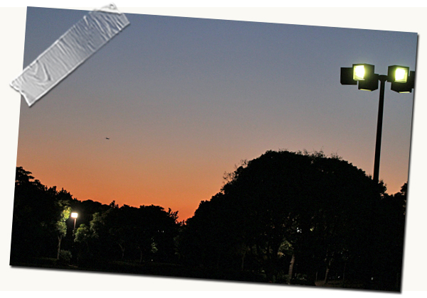 ¤â¤Ò¤È¤Ä¡¢¤ª´ê¤¤¡¦¡¦¡¦¡¡01