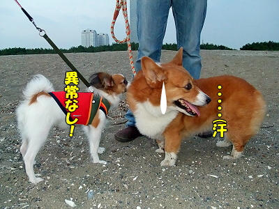 ÃÏÍ롦¡¦¡¦¬