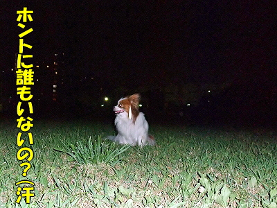 ´ë²èÅݤìorz¤