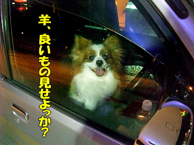 ¥¹¥¥ë¡ú¥¢¥Ã¥×£