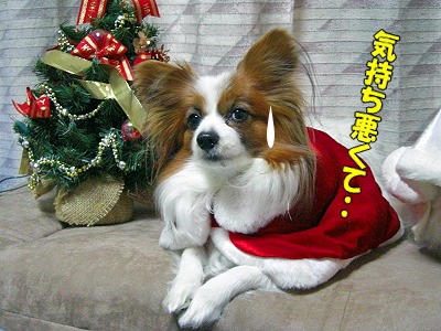 ¡ù¡ú¡ùMerry Christmas¡ù¡ú¡ù¢