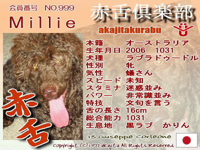 999-millie-2007