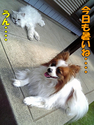 ½ë¤¤¡¦¡¦¡¦¡¦