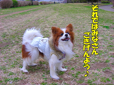 ¤ª¤Þ¤»¤Ê¥µ¥¶¥Ó¡¼©
