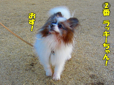 �����¿��������orz��