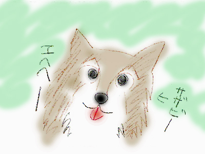 Â缺ÂÖ¡£¡£orz§